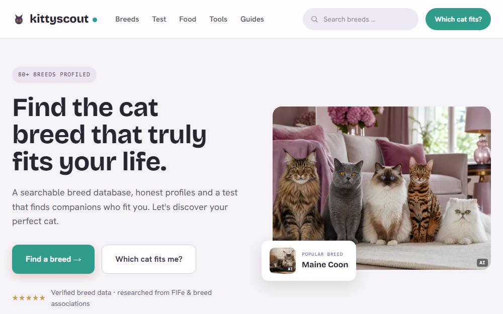 Screenshot der Website kittyscout